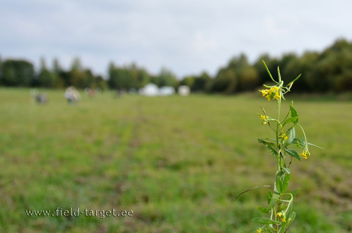 Kuldne suvi saab tänasega läbi